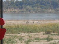 DSCN6396.JPG