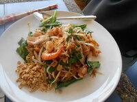 DSCN6408.JPG