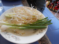 DSCN6409.JPG