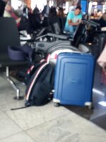 IMG_20231009_125255_516.jpg