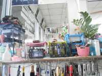 DSCN0018.JPG DSCN0018.JPG