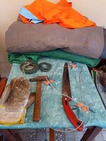 IMG_20231013_094542_203.jpg