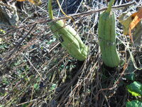 DSCN0014.JPG