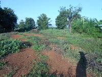 DSCN0015.JPG