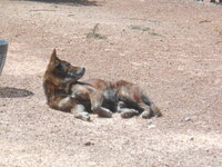 DSCN0058.JPG