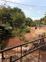IMG_20231013_105935_607.jpg