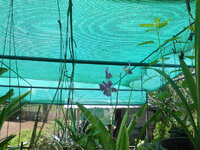 DSCN0061.JPG