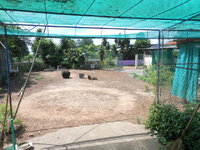 DSCN0057.JPG