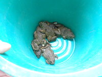 DSCN0046.JPG DSCN0046.JPG