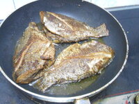 DSCN0036.JPG