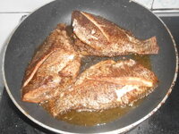 DSCN0039.JPG