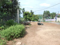 DSCN2893.JPG