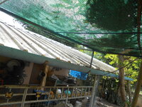 DSCN2890.JPG