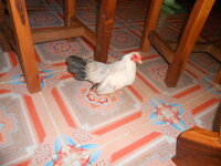 DSCN2857.JPG