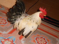 DSCN2860.JPG