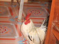DSCN2859.JPG