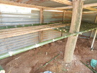DSCN2851.JPG