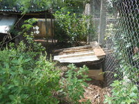 DSCN2894.JPG
