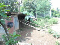 DSCN2892.JPG