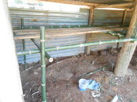 DSCN2853.JPG
