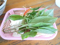 DSCN3008.JPG