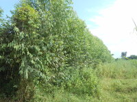 DSCN2962.JPG