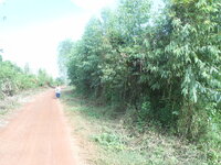 DSCN2964.JPG