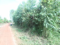 DSCN2963.JPG