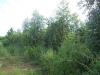 DSCN2968.JPG