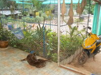 DSCN0101.JPG
