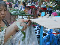DSCN3102.JPG