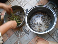 DSCN3125.JPG