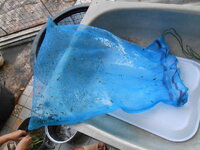DSCN3124.JPG