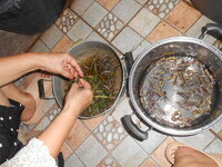 DSCN3126.JPG