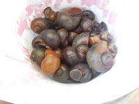 DSCN3022.JPG