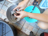 DSCN3024.JPG