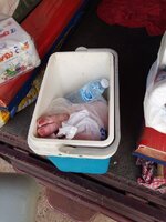 IMG_20231019_105444_659.jpg