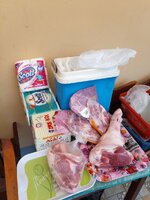 IMG_20231019_110430_511.jpg