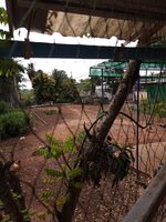 IMG_20231019_150027_338.jpg