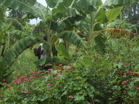 DSCN9156.JPG