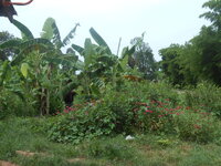 DSCN9157.JPG