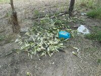 DSCN9155.JPG