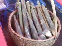 DSCN9145.JPG