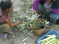 DSCN9153.JPG