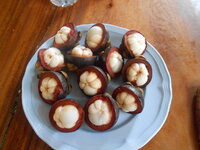 DSCN9262.JPG