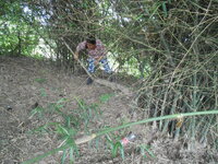 DSCN9008.JPG