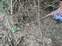 DSCN9003.JPG