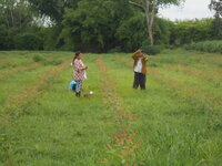 DSCN9011.JPG DSCN9011.JPG