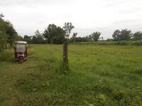 DSCN9019.JPG DSCN9019.JPG