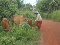 DSCN9018.JPG